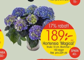 EKO Alpina plantor erbjuda