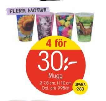 EKO Star trading muggar erbjuda