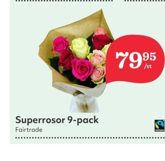 Hemköp Moyca blommor erbjuda