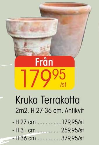 EKO Kruka terrakotta erbjuda