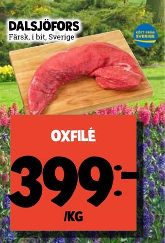 Oxfilé