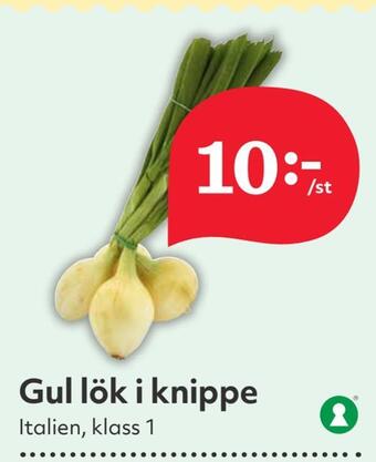 Hemköp Gul lök i knippe erbjuda