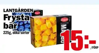 Frysta bär