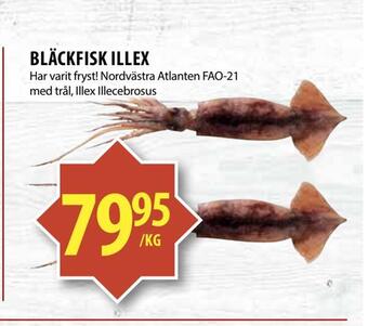 Matvärlden Tensta Bläckfisk illex erbjuda