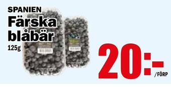 Matdax Färska blåbär erbjuda