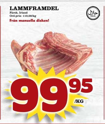 Supergrossen Lammframdel erbjuda