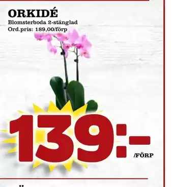 Orkidé