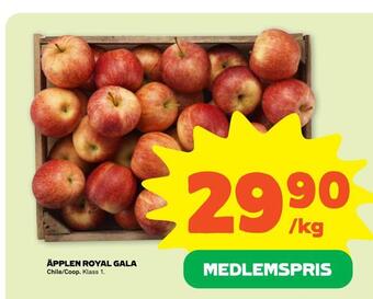 Coop Forum Äpplen royal gala erbjuda
