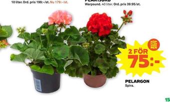 Stora Coop Pelargon erbjuda