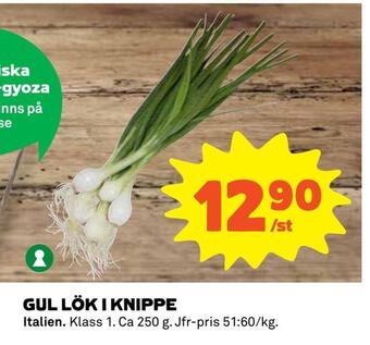 Coop Gul lök i knippe erbjuda