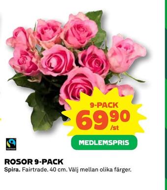 Coop Daglivs Rosor 9-pack erbjuda
