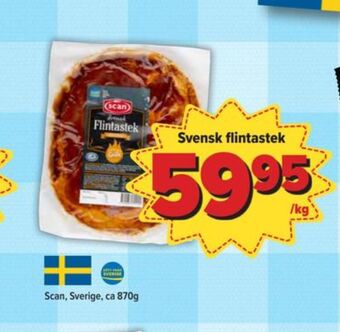Scan flintastek