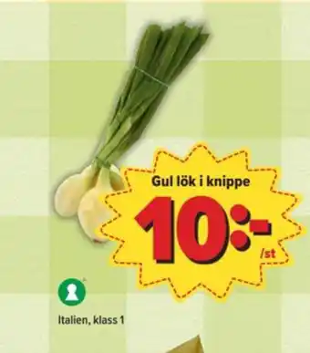 Östenssons Eldorado lök erbjuda