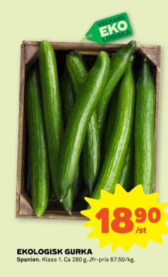 Stora Coop Coop gurka erbjuda