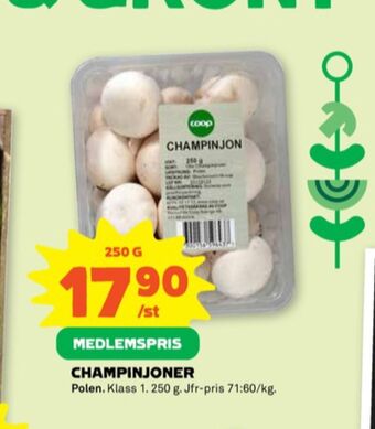 Stora Coop Coop champinjoner erbjuda