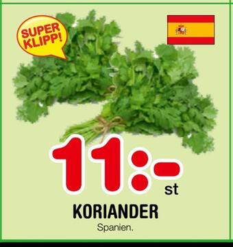 Nya Pulsen Koriander erbjuda