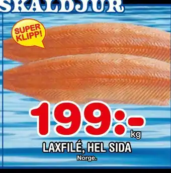 Laxfilé, hel sida