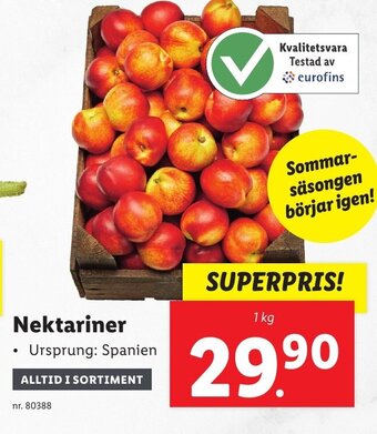 Lidl Nektariner erbjuda