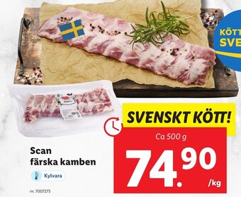 Scan färska kamben