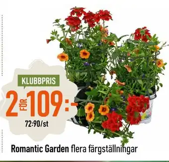 Granngården Romantic Garden flera färgställningar erbjuda