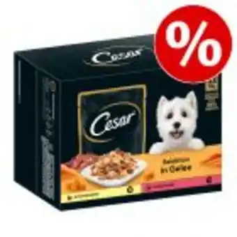 12 / 24 x 100 g cesar selection in jelly/sauce till sparpris!