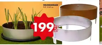 ÖoB ODLINGSKRAGE PLÅT. Ø 60 cm. erbjuda