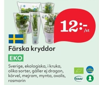 Hemköp Färska kryddor erbjuda