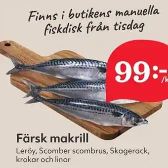 Färsk makrill