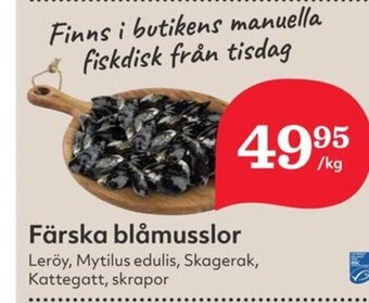 Hemköp Färska blåmusslor erbjuda