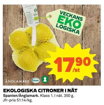 Ekologiska citroner i nät