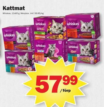 Pekås Kattmat erbjuda