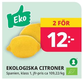 Tempo Ekologiska citroner erbjuda