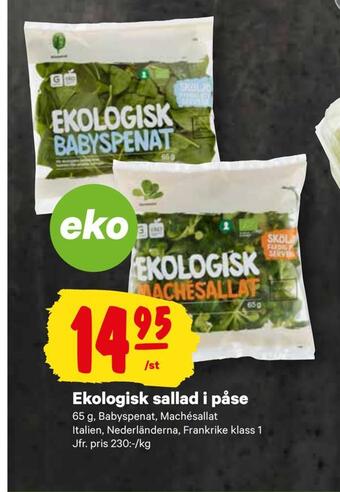 City Gross Ekologisk sallad i påse erbjuda