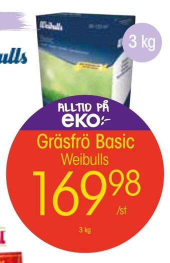 EKO Gräsfrö basic erbjuda