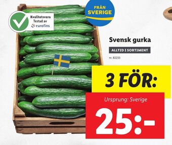 Lidl Svensk gurka erbjuda