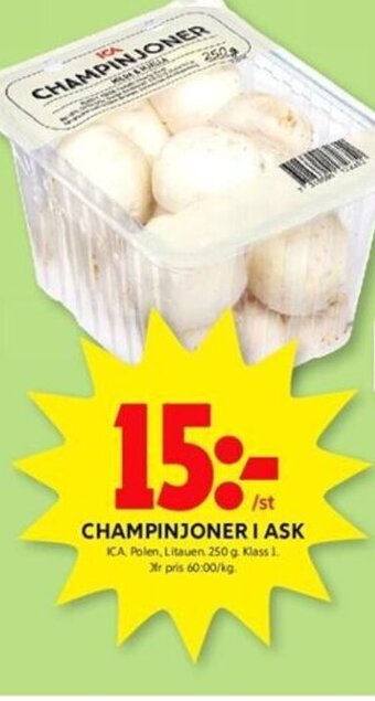 ICA Kvantum CHAMPINJONER I ASK erbjuda
