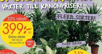 EKO Gröna växter erbjuda