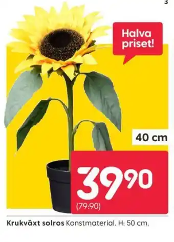 Krukväxt solros Konstmaterial. H: 50 cm.