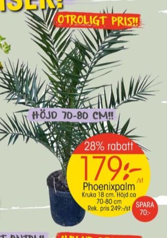 Hammenhögs plantor