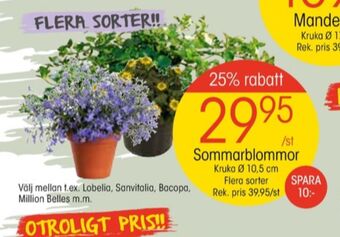 EKO Coca cola zero plantor erbjuda