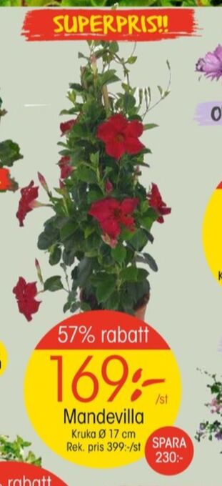 EKO Coca cola zero plantor erbjuda