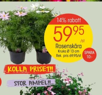 EKO Coca cola zero plantor erbjuda