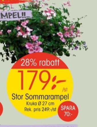 EKO Coca cola zero plantor erbjuda