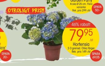 EKO Coca cola zero blommor erbjuda