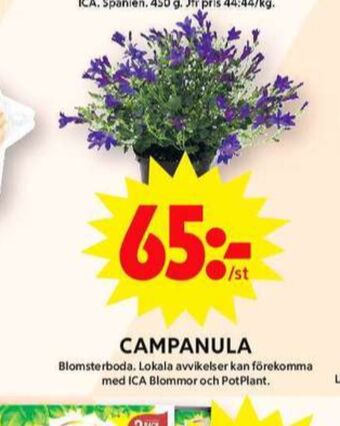 ICA Maxi Blomsterboda plantor erbjuda