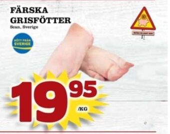 Matdax Scan grisfötter erbjuda