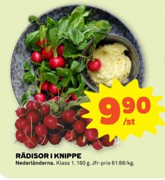 Stora Coop Coop rädisor erbjuda