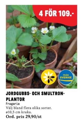 Plantor