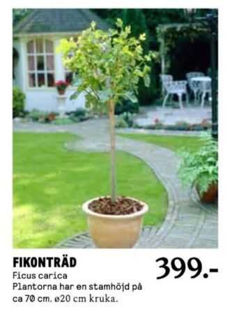 Blomsterlandet Träd erbjuda