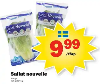 Pekås Sverige Sallat nouvelle erbjuda